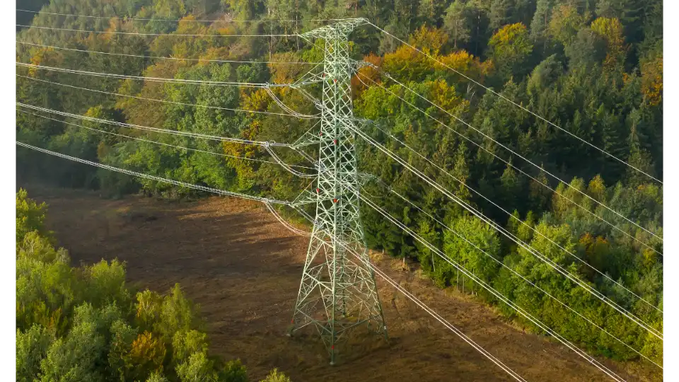 Power tower in a forest
